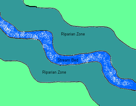 Riparian Zone