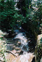 Rodgers Creek