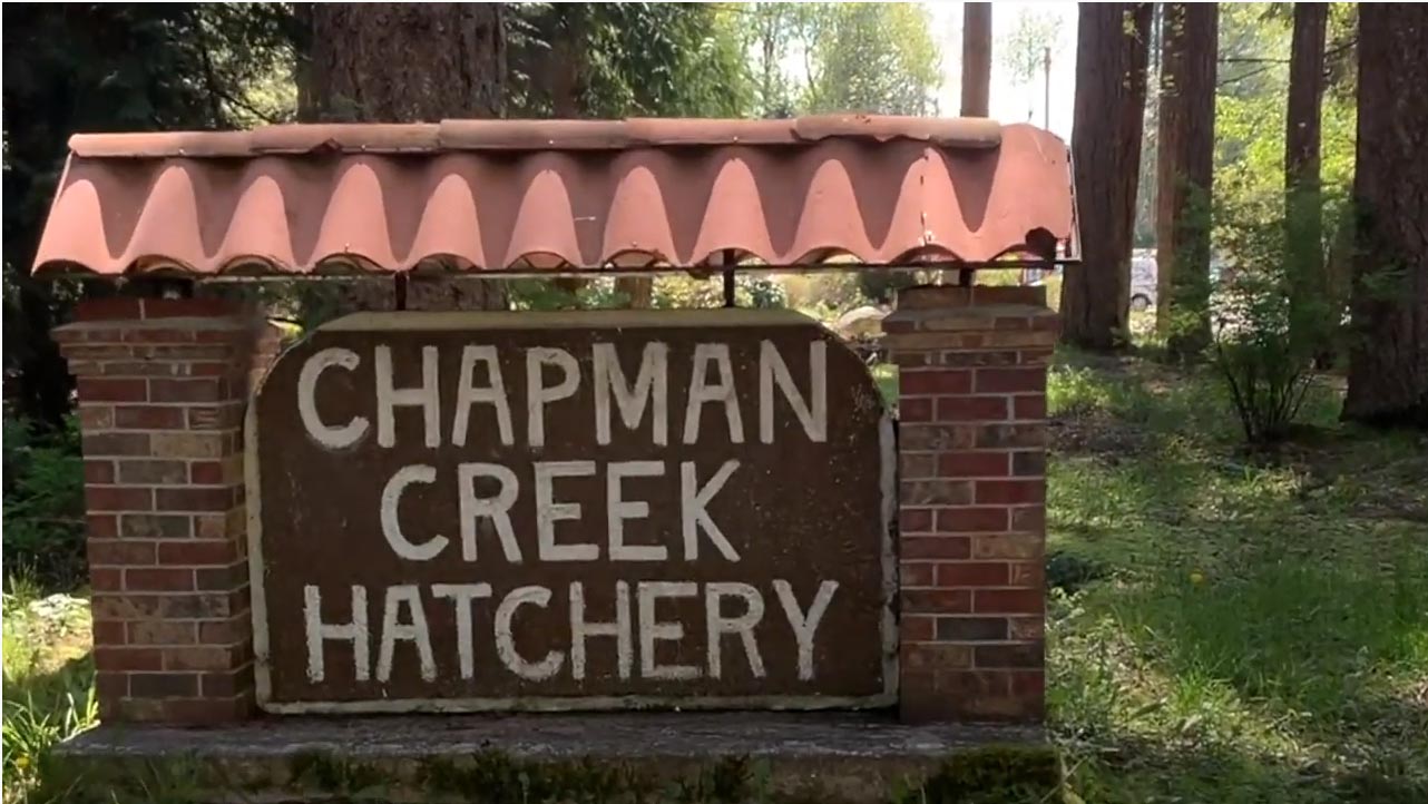 Chapman Creek Hatchery