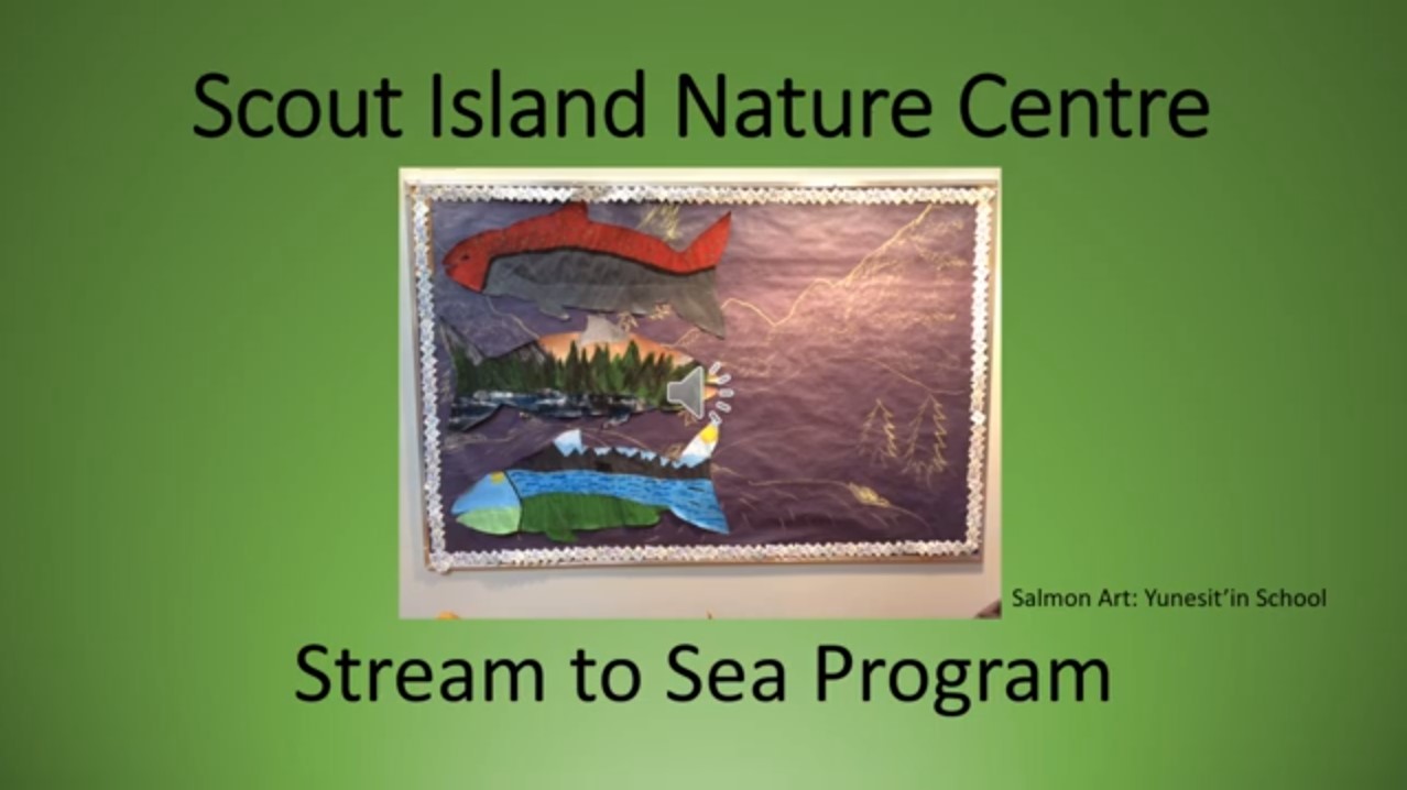 Scout Island Nature Centre Stream 2 Sea