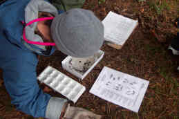 Sorting Stream Invertebrates