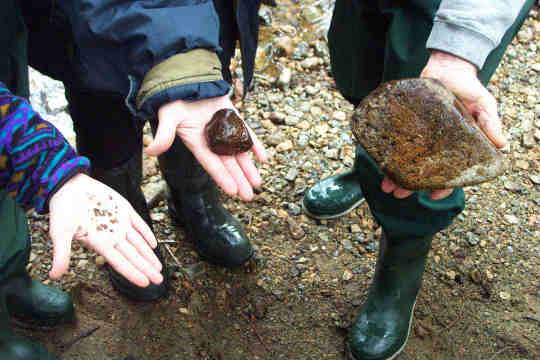 Streambed Substrate