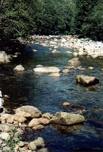 Seymour River