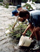 Seymour River