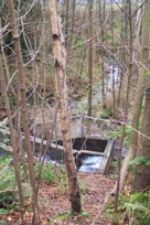 North Schoolhouse Creek