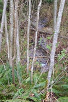 North Schoolhouse Creek