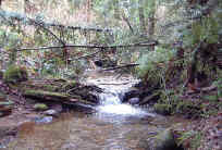 Godman Creek