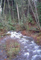 Hadden Creek