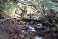 Larson Creek