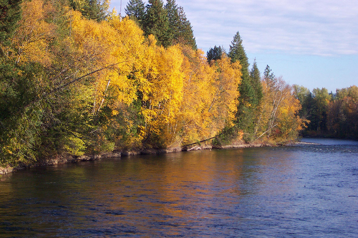 Streamkeepers Memorial Wall